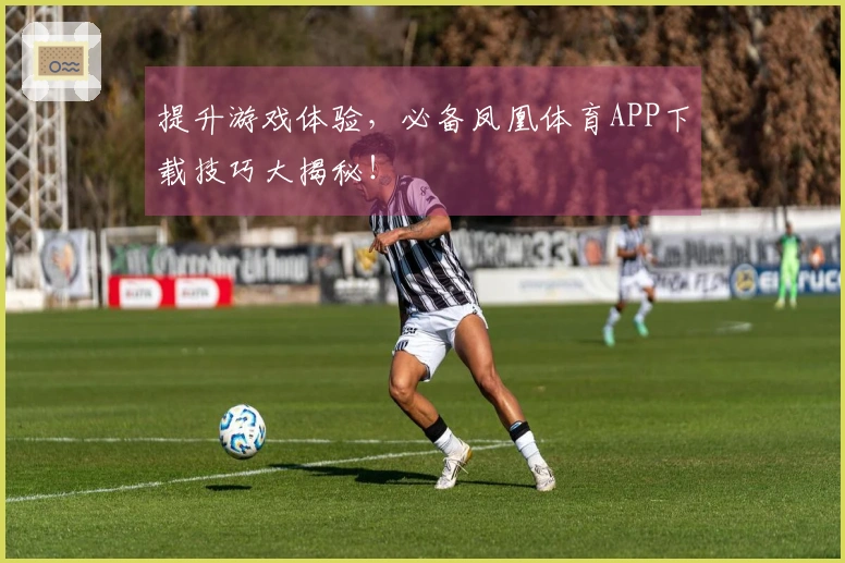 提升游戏体验，必备凤凰体育APP下载技巧大揭秘！
