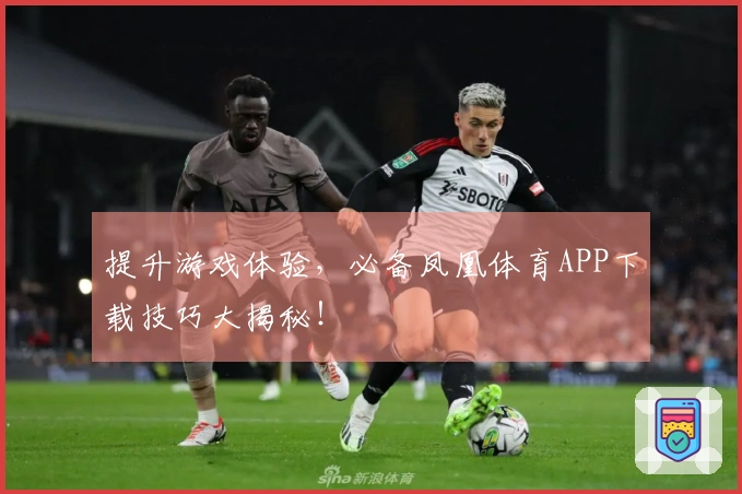 提升游戏体验，必备凤凰体育APP下载技巧大揭秘！