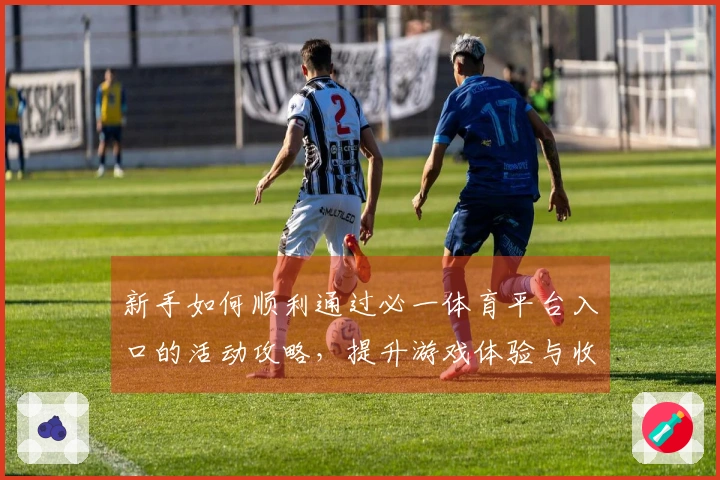 新手如何顺利通过必一体育平台入口的活动攻略，提升游戏体验与收益